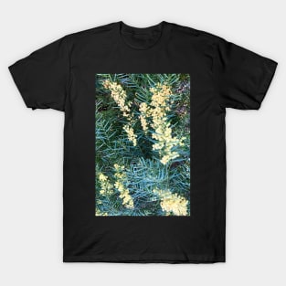 Wattle T-Shirt